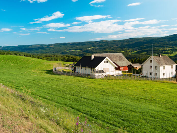 Fixed Wireless Access (FWA)